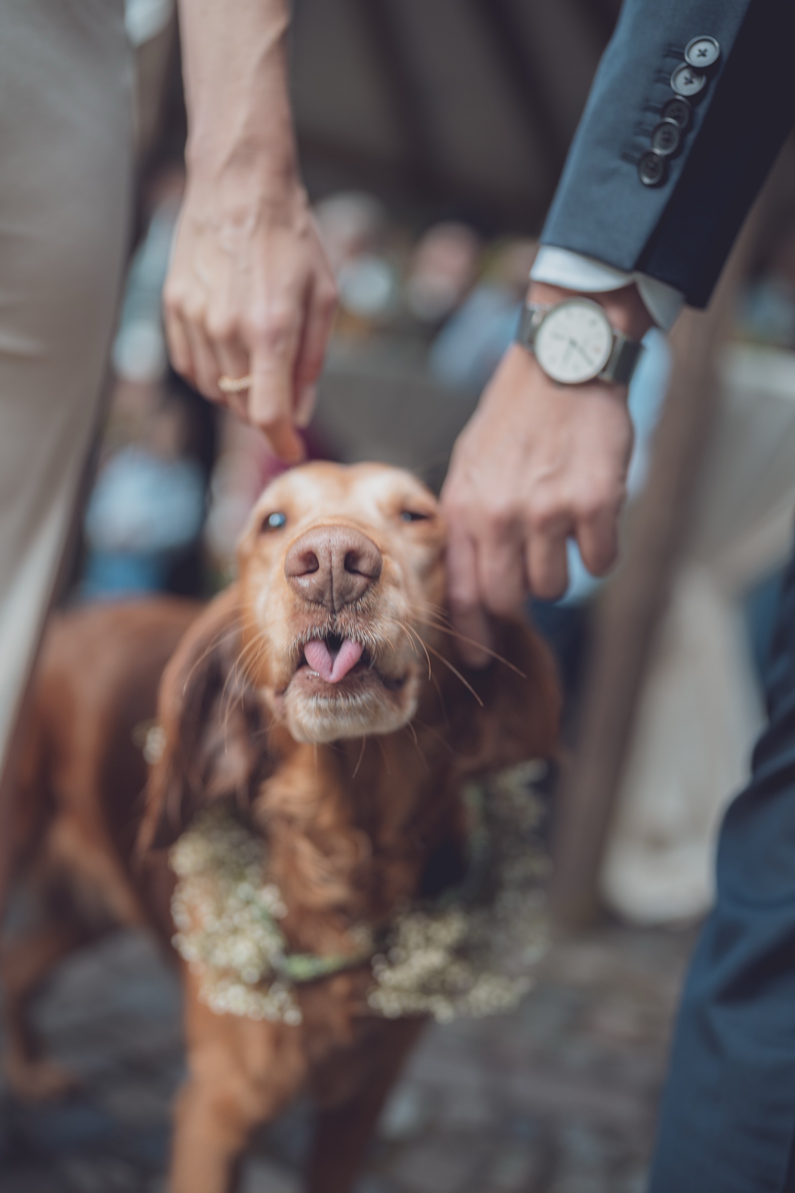 Brautpaar zwischen Bäumen